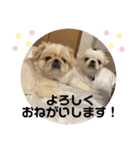 アネムとズズ（個別スタンプ：9）
