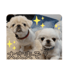 アネムとズズ（個別スタンプ：11）