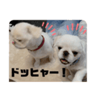 アネムとズズ（個別スタンプ：13）