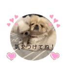 アネムとズズ（個別スタンプ：14）
