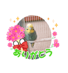 いつもそばに居るよ。（個別スタンプ：4）