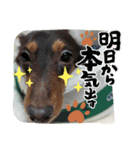 kokoa〜♪♪（個別スタンプ：2）