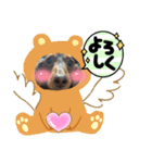 kokoa〜♪♪（個別スタンプ：3）