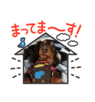 kokoa〜♪♪（個別スタンプ：5）