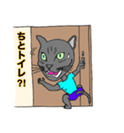 黒猫の行動（個別スタンプ：8）