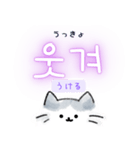 使いやすい韓国語ねこ1（ハングル＆訳）（個別スタンプ：13）