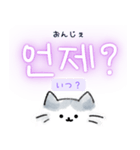 使いやすい韓国語ねこ1（ハングル＆訳）（個別スタンプ：29）