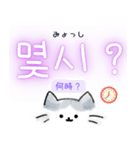 使いやすい韓国語ねこ1（ハングル＆訳）（個別スタンプ：31）