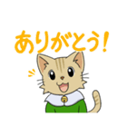 ネコのケープくん（個別スタンプ：3）