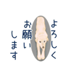 クリーム色のたれ耳犬（個別スタンプ：22）