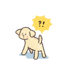 トイプードル•コタローの癒されEveryDay（個別スタンプ：4）