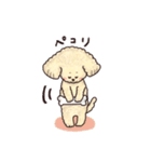 トイプードル•コタローの癒されEveryDay（個別スタンプ：7）
