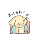 トイプードル•コタローの癒されEveryDay（個別スタンプ：9）