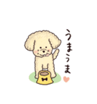 トイプードル•コタローの癒されEveryDay（個別スタンプ：10）