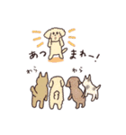 トイプードル•コタローの癒されEveryDay（個別スタンプ：12）