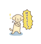 トイプードル•コタローの癒されEveryDay（個別スタンプ：16）