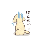 トイプードル•コタローの癒されEveryDay（個別スタンプ：20）