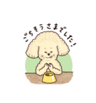 トイプードル•コタローの癒されEveryDay（個別スタンプ：21）