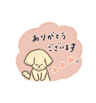 トイプードル•コタローの癒されEveryDay（個別スタンプ：22）