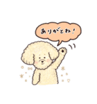 トイプードル•コタローの癒されEveryDay（個別スタンプ：23）
