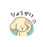 トイプードル•コタローの癒されEveryDay（個別スタンプ：24）