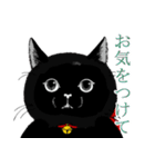 ぶさかわ黒猫／僕と魔女についての備忘録（個別スタンプ：6）