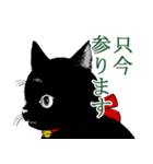 ぶさかわ黒猫／僕と魔女についての備忘録（個別スタンプ：9）