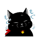 ぶさかわ黒猫／僕と魔女についての備忘録（個別スタンプ：20）