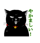 ぶさかわ黒猫／僕と魔女についての備忘録（個別スタンプ：33）