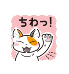 三毛猫ミヨちゃん（個別スタンプ：1）