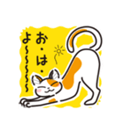 三毛猫ミヨちゃん（個別スタンプ：2）
