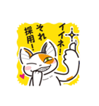 三毛猫ミヨちゃん（個別スタンプ：11）