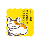 三毛猫ミヨちゃん（個別スタンプ：12）