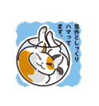 三毛猫ミヨちゃん（個別スタンプ：13）