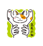 三毛猫ミヨちゃん（個別スタンプ：14）