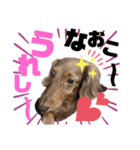 らぶぞぅ26（個別スタンプ：6）