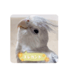 michochii 6（個別スタンプ：1）