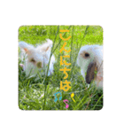 michochii 6（個別スタンプ：3）