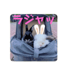 michochii 6（個別スタンプ：7）