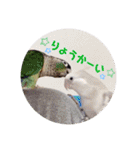 michochii 6（個別スタンプ：9）