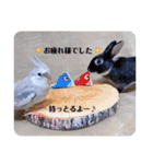 michochii 6（個別スタンプ：19）