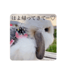 michochii 6（個別スタンプ：21）
