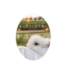 michochii 6（個別スタンプ：26）