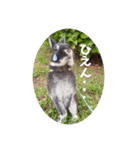 michochii 6（個別スタンプ：32）