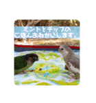 michochii 6（個別スタンプ：33）