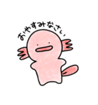 うぱのなんとも言えないスタンプ（個別スタンプ：4）