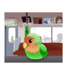 珍妙なコザクラインコ（個別スタンプ：19）