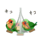 珍妙なコザクラインコ（個別スタンプ：22）