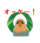 珍妙なコザクラインコ（個別スタンプ：35）