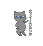 スマート猫くん(日常)（個別スタンプ：5）